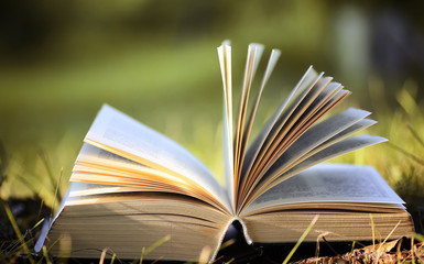 opened book in yellow autumn