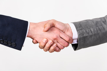 Two businessmen handshaking on gray background