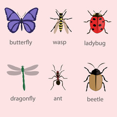 Set of various insects design flat.