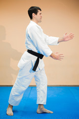 Fototapeta na wymiar man practicing aikido