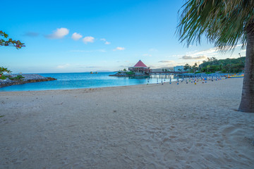 Fototapeta premium Beautiful morning beach