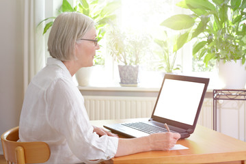 Senior woman at home in front of her laptop taking notes, online advice or e-learning concept template, blank mock-up screen, copy space.