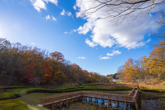 Manyo Images – Browse 27 Stock Photos, Vectors, and Video | Adobe Stock