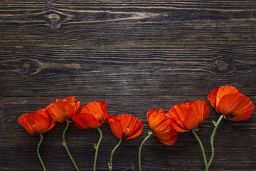 Fototapeta na wymiar Poppy flowers border on dark wooden background for floral greeting card.