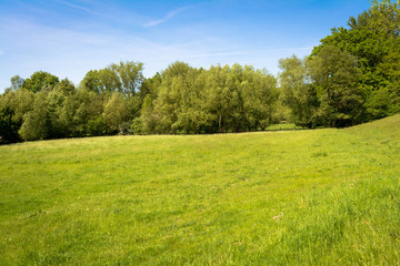 Hintergrundbild mit Wiese