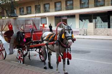 Fototapeta na wymiar Horse carriage for tourists in Turkey