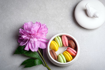 Flower peony, macaroons on grey background. Happy birthday, anniversary, valentine holidays concept