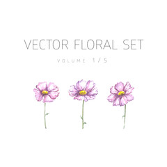 Bright watercolor floral vector set