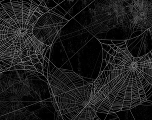 Poster Spider web silhouette against black wall - halloween theme dark background © Cattallina
