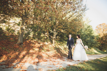 Stylish couple of happy newlyweds walking in the park on their wedding day with bouquet