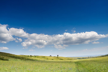 Fototapeta na wymiar Yellow-green hill and sky with clouds. Wild grasses.