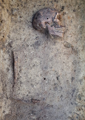 Archaeological excavation with skeletons