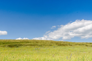 Obraz premium Yellow-green hill and sky with clouds. Wild grasses.