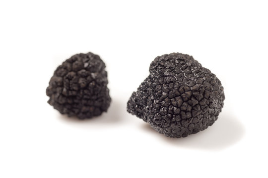 Delicate exclusive black truffles