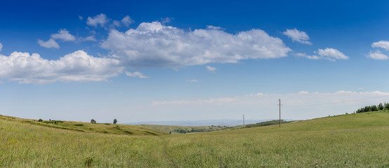 Yellow-green hill and sky with clouds. Wild grasses.