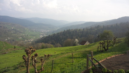 Fototapeta na wymiar paysage es Vosges