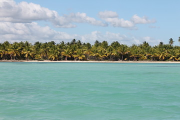 &icirc;le de saona