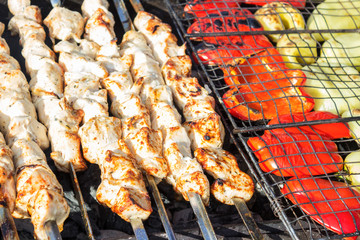 Grilled vegetable and meat skewers in a herb marinade on a grill pan, top view