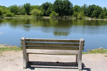 The lake at the park from behind a empty park bench.