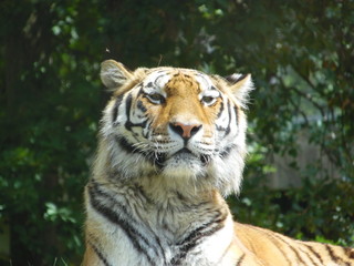  Beauval Zoo