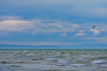 bird flying over surface of green sea waves with mountains on background
