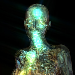 3D Illustration of a human Anatomy