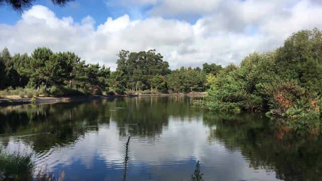 Scenic view of Bucaquinho Natural Park, Ovar, north of Portugal.