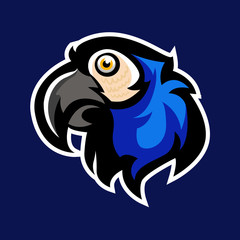 Awesome bird blue fur parrots logo head, mascot logo team or print illustration
