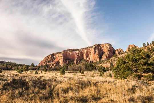 Rock formation, Zion National Park, Springdale, Utah, USA