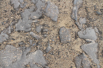 Teer am Strand