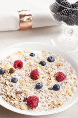 Cereal bowl breakfast with milk, raspberries and blueberries next to a glass with blackberries. Vertical studio shot.