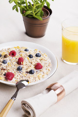 Cereal bowl breakfast with milk, raspberries and blueberries next to orange juice and decoration plant. Vertical studio shot.