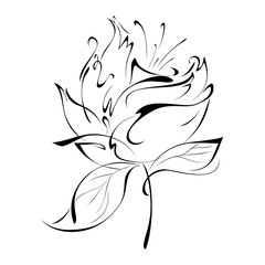 ornament 55. stylized rose in black lines on a white background