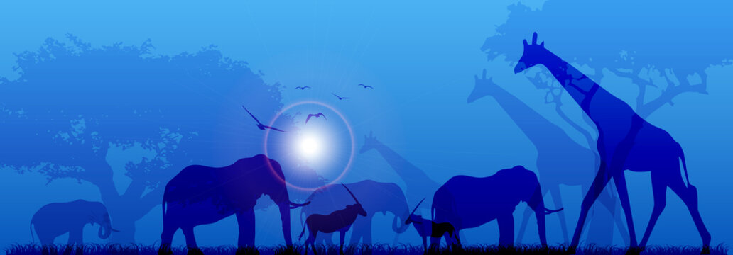 animali, sole, savana