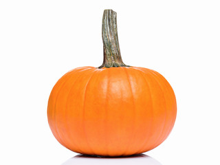 Fresh orange pumpkin isolated on white background. Studio shot of a nice ornamental autumn pumpkin for Halloween.