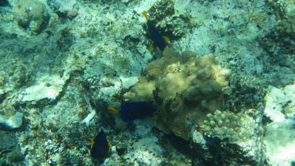 Moře/Sea