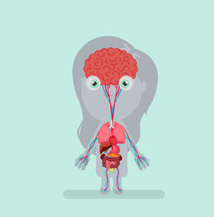 Human body anatomy vector illustration