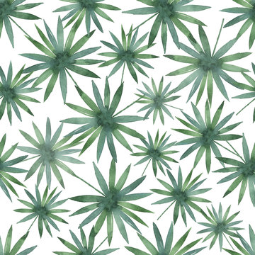 Watercolor seamless pattern with tropical leaves isolated on white background.