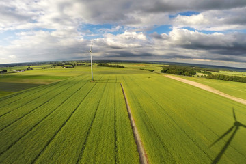 Aerial view of summer field with wind turbines, Poland