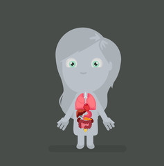 Human body anatomy vector illustration