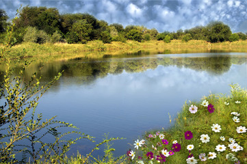 Fototapeta premium Beautiful flowers over river