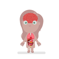 Human body anatomy vector illustration