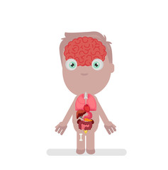 Human body anatomy vector illustration