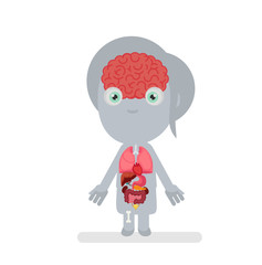 Human body anatomy vector illustration