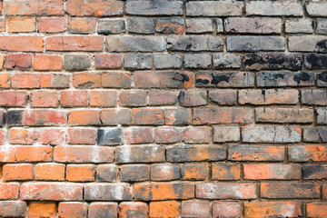 Obraz premium Red old worn brick wall with black spots texture background.