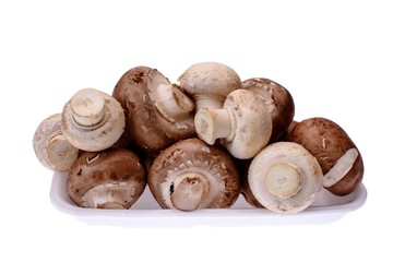 Mushrooms champignons lie on a white tray, isolated on a white background