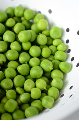Fresh  organic green peas