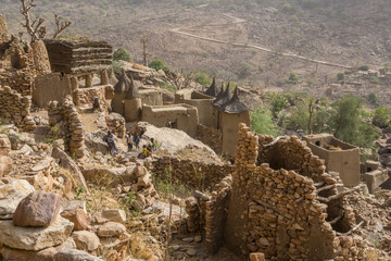 Dogon village and typical mud buildings, Tireli, Mali, Africa