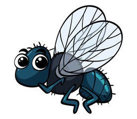 Housefly flying on white background