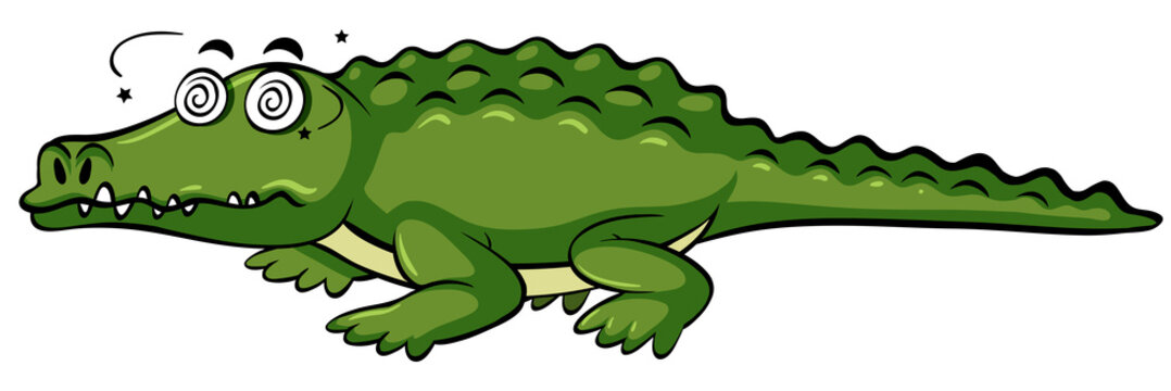 Crocodile with dizzy face